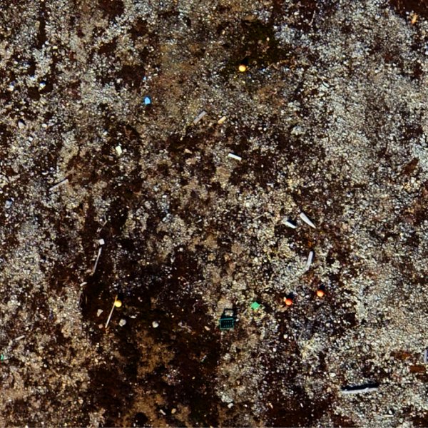 Aerial photograph of a beach on Svalbard to record litter on Arctic beaches. 