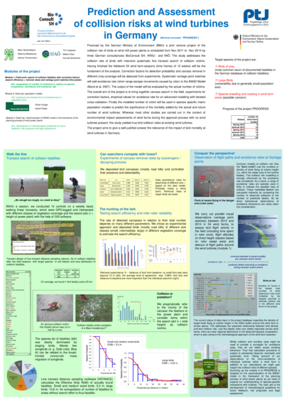 Prediction and Assessment of collision risks at wind turbines in Germany. Conference on Wind Energy and Environmental Impacts, Stockholm, Sweden