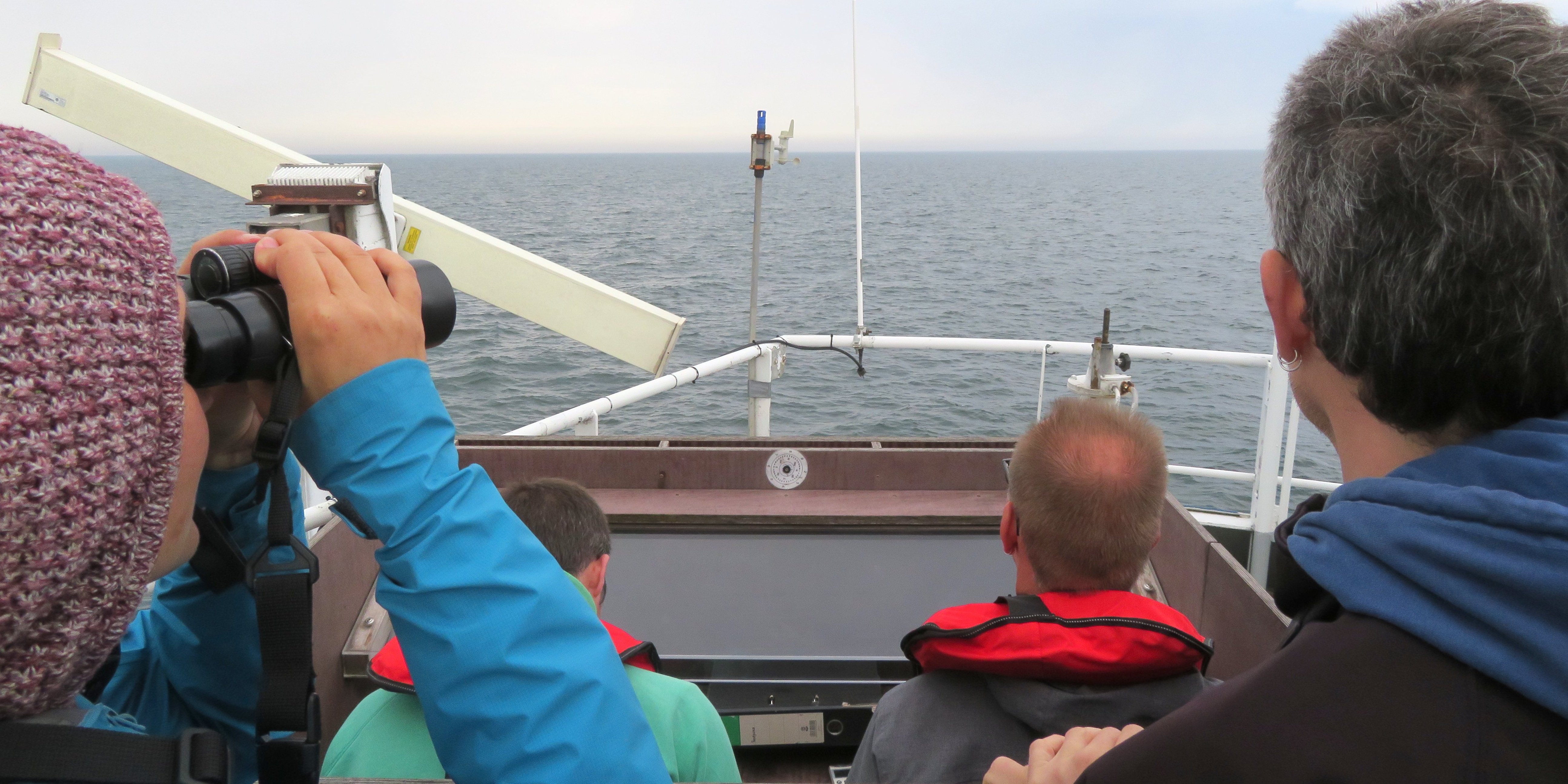 Von hinten sind vier Menschen zu sehen, die vom Deck eines Schiffes Vögel und Säugetiere auf dem Meer erfassen. 