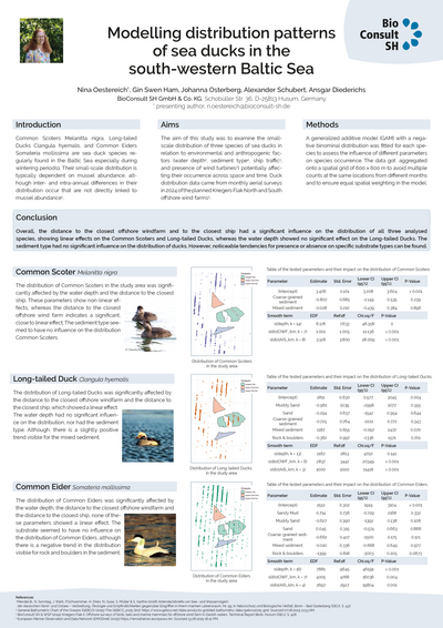Modelling distribution patterns of sea ducks in the south-western Baltic Sea