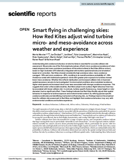 Smart flying in challenging skies: How Red Kites adjust wind turbine micro- and meso-avoidance across weather and experience