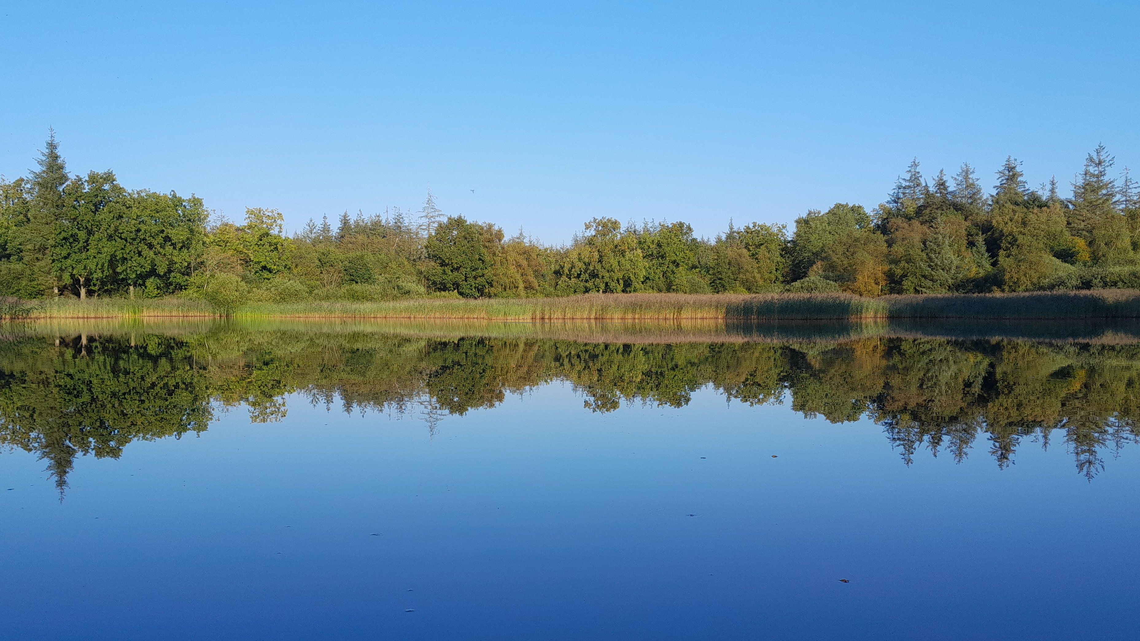 Ein See, im Hintergrund Wald, der sich auf dem Wasser spiegelt.