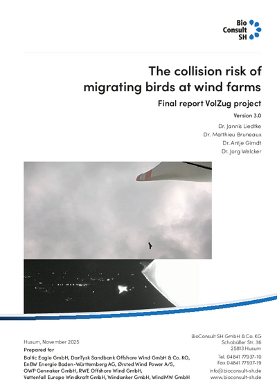 The collision risk of migrating birds at wind farms. Final report VolZug project.