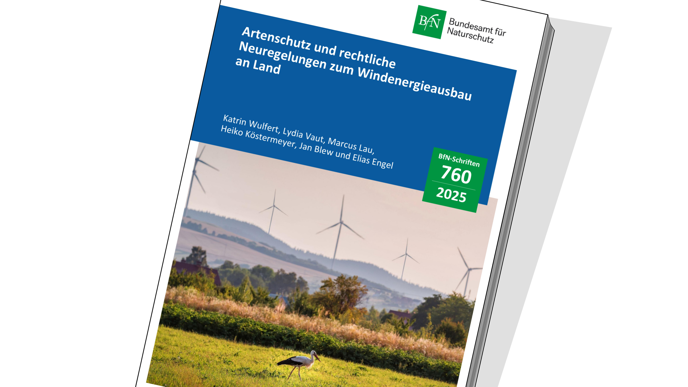 Titelblatt der BfN-Studie "Artenschutz und neue rechtliche Regeln zum Windenergie-Ausbau an Land".