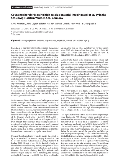 Counting shorebirds using high-resolution aerial imaging: a pilot study in the Schleswig-Holstein Wadden Sea, Germany