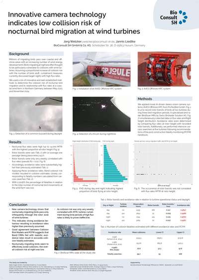 Innovative camera technology indicates low collision risk of nocturnal bird migration at wind turbines