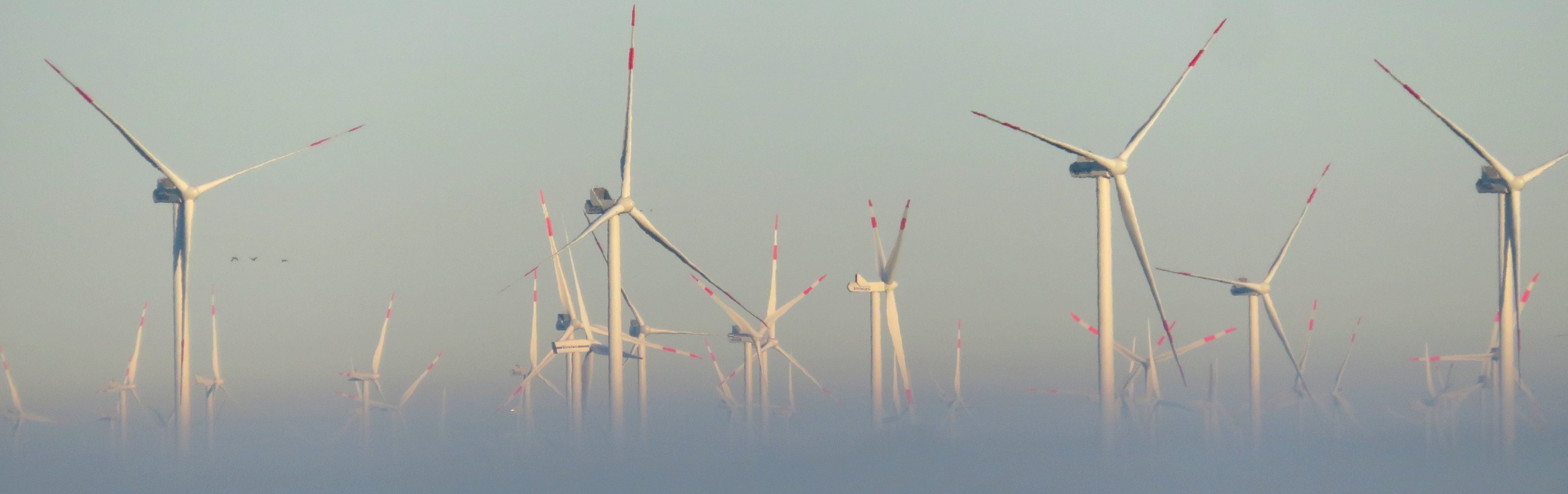 Wind turbines in ground fog.