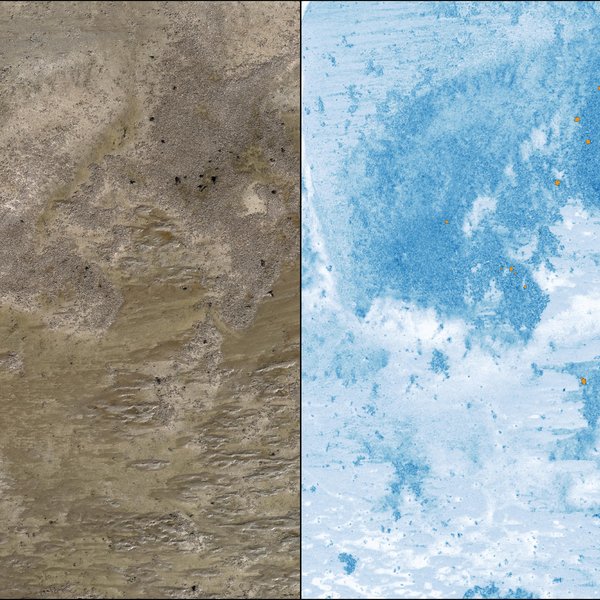 Luftaufnahme einer Muschelbank westlich von Nordstrand. (Links: RGB-Aufnahme, Rechts: Verwendung des MicaSense Altum Multispektralsensors zur Bestimmung der Ausbreitung und des Bedeckungsgrades von Muschelbänken.)