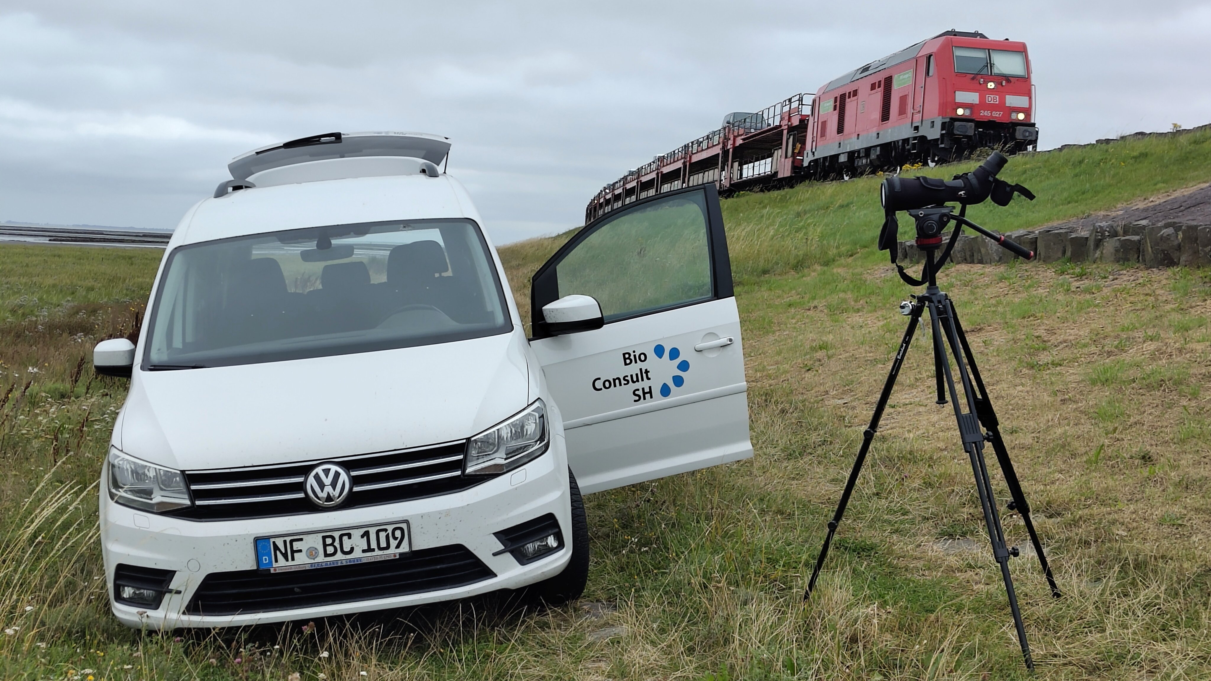 A white car with the BioConsult SH logo on the open driver's door is parked by the Wadden Sea at the edge of a salt marsh on the Hindenburgdamm. Next to it is a spotting scope on a tripod. A train can be seen in the background.