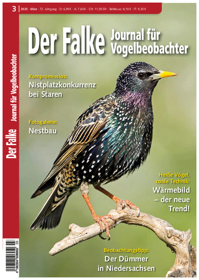 Vogelschutz und Mathematik: Neues Werkzeug zur Prognose von Kollisionsrisiken an Windkraftanlagen