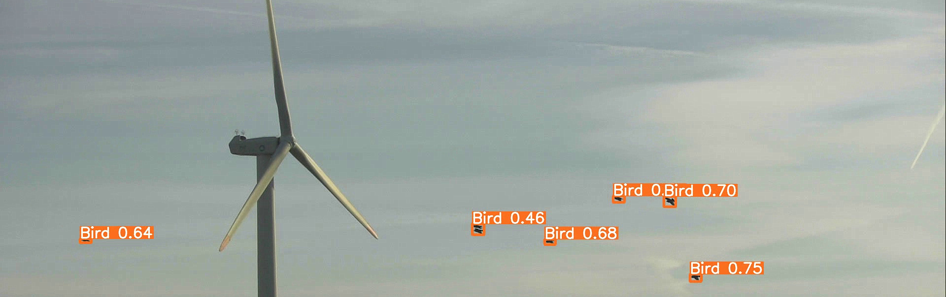 Screenshot from a video recording made by an AVES camera on a wind turbine. The image shows a flock of birds captured by the camera and recognised by the algorithm. 